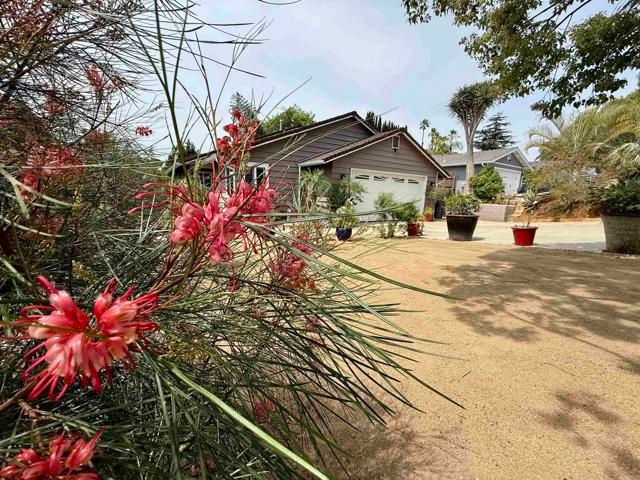 914 N Main Avenue, Fallbrook, CA 92028