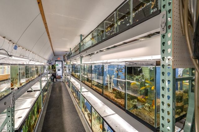 4873 Broadview Road, Cleveland, OH 44109