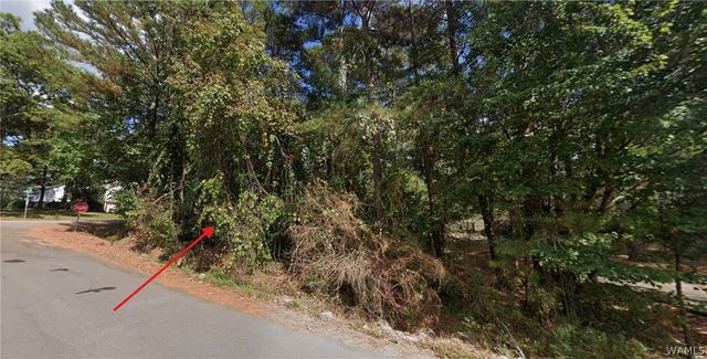 13745 Dianne, Mccalla, AL 35111