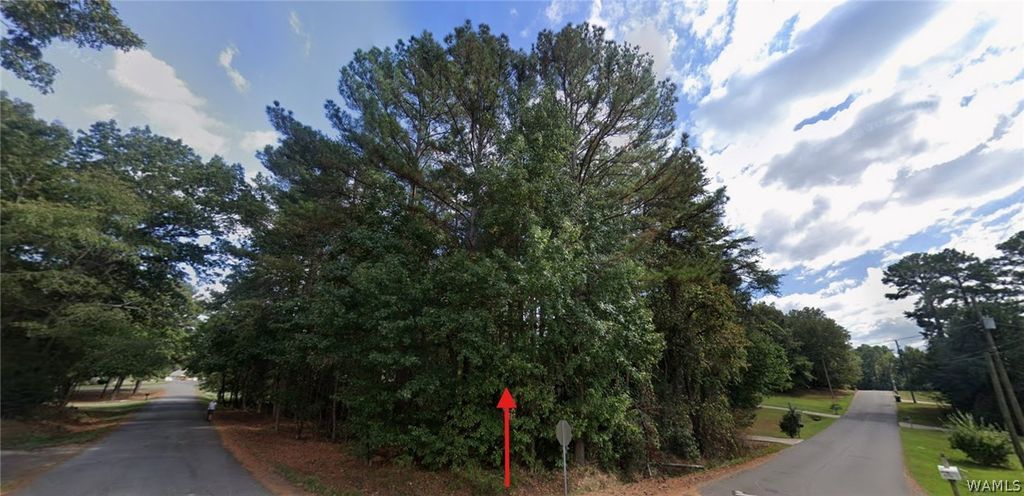13745 Dianne, Mccalla, AL 35111