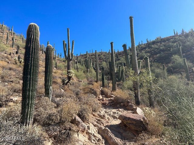 11994 N 125TH Street, Scottsdale, AZ 85259