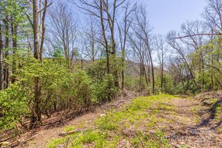 99999 Fairview Forest Drive, Fairview, NC 28730