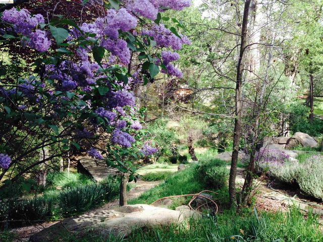 19100 Andra Dr, Sonora, CA 95370