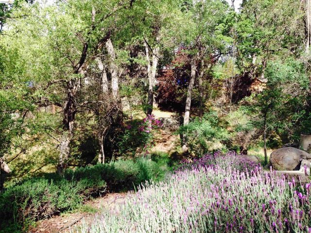 19100 Andra Dr, Sonora, CA 95370