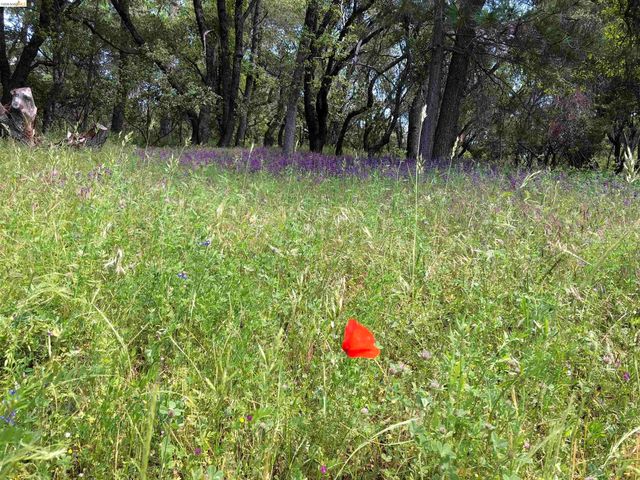 19100 Andra Dr, Sonora, CA 95370