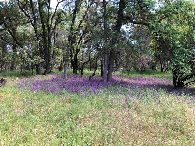 19100 Andra Dr, Sonora, CA 95370