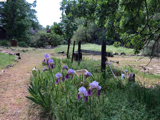 19100 Andra Dr, Sonora, CA 95370