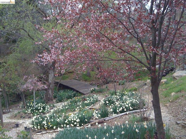 19100 Andra Dr, Sonora, CA 95370