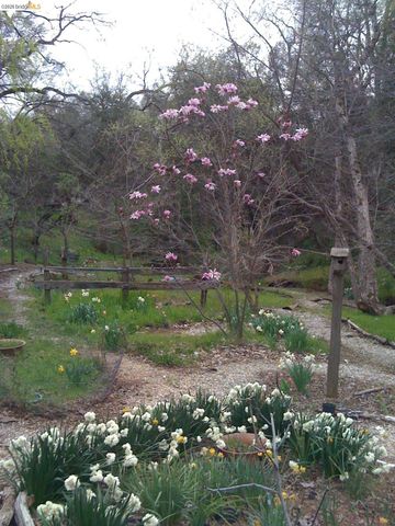 19100 Andra Dr, Sonora, CA 95370