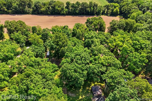 260 Ellsworth Lake Drive, Lyndon Township, MI 48137