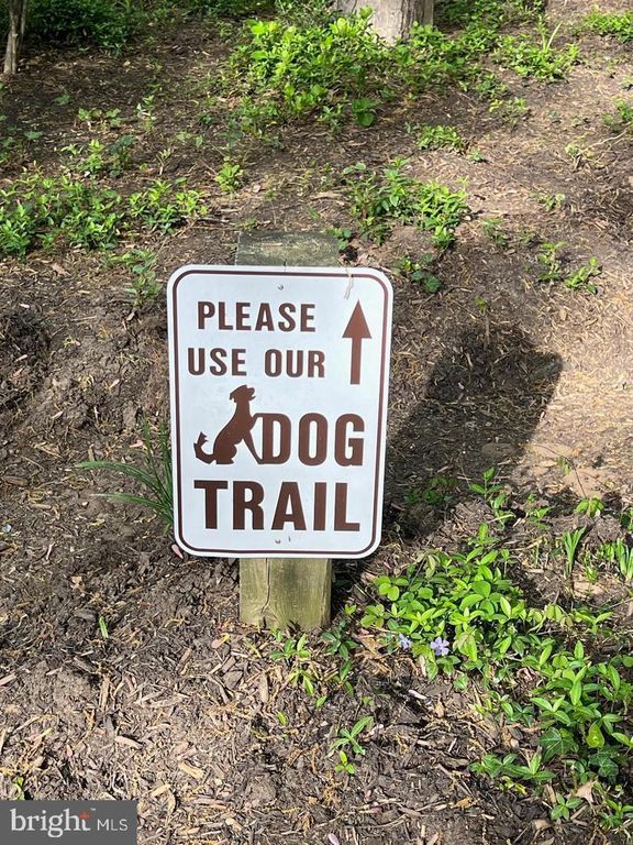 Image 34 of property listing at 289 COLLEGE MANOR DR, Arnold, MD 21012