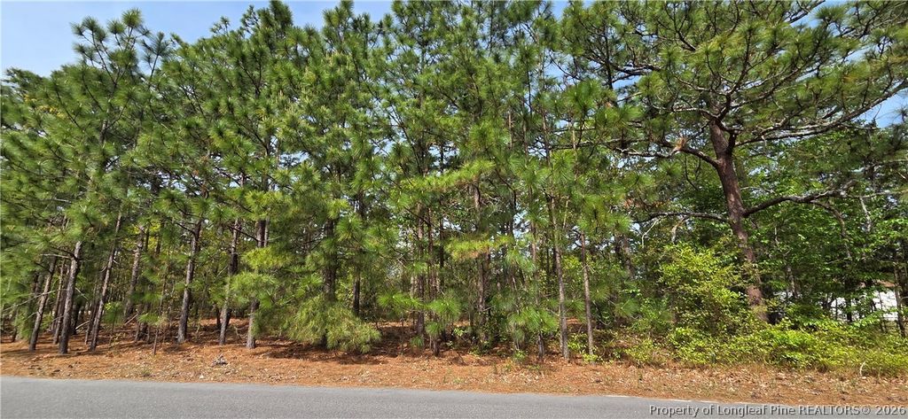 624 Cressida Drive, Fayetteville, NC 28311 — exterior