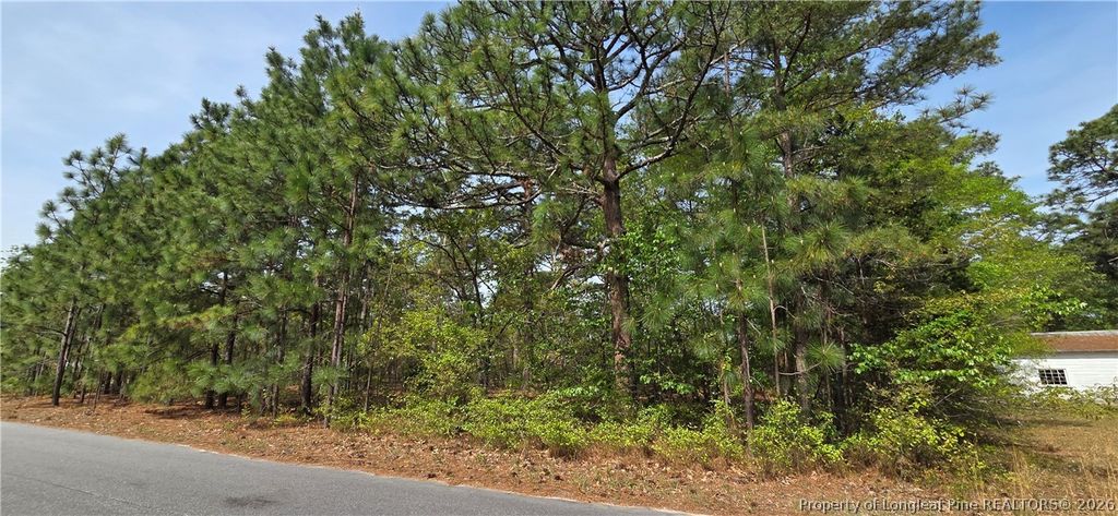 624 Cressida Drive, Fayetteville, NC 28311 — photo 2