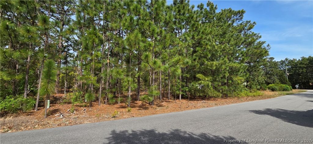 624 Cressida Drive, Fayetteville, NC 28311 — photo 3