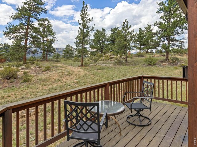 1870 Sketch Box Ln 3, Estes Park, CO 80517
