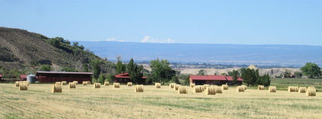 11694 Trap Club Road, Austin, CO 81410