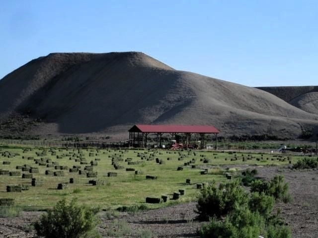 11694 Trap Club Road, Austin, CO 81410
