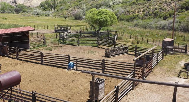 11694 Trap Club Road, Austin, CO 81410
