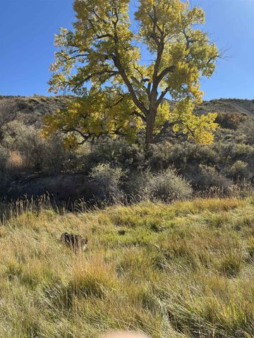 11694 Trap Club Road, Austin, CO 81410