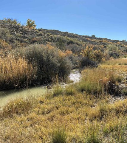 11694 Trap Club Road, Austin, CO 81410
