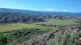 11694 Trap Club Road, Austin, CO 81410