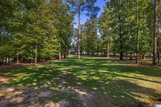411 RENAISSANCE DRIVE, Hoover, AL 35226