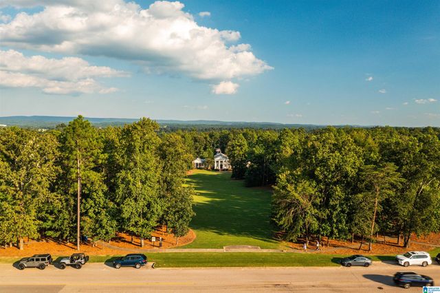 411 RENAISSANCE DRIVE, Hoover, AL 35226