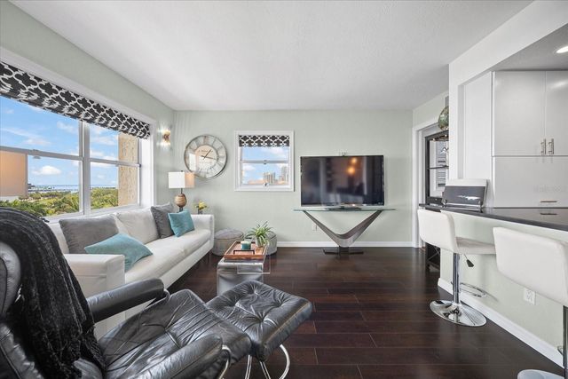 1120 N SHORE DRIVE NE 802, St Petersburg, FL 33701