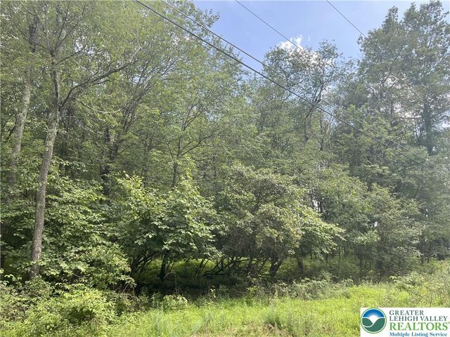 Lot 224 & 225 LAN Bluejay Drive, Penn Forest Twp, PA 18229