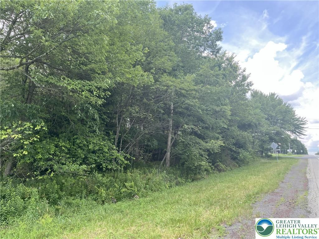 Lot 224 & 225 LAN Bluejay Drive, Penn Forest Twp, PA 18229