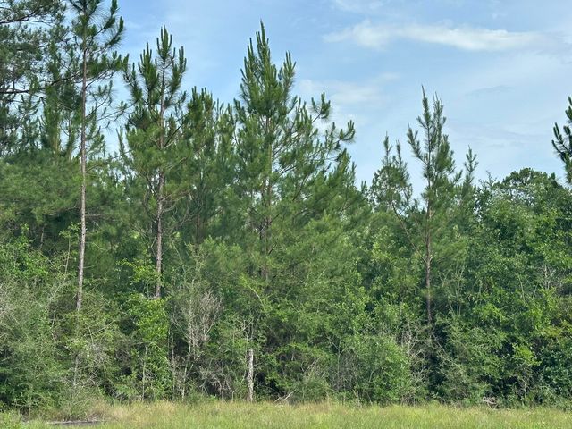 Parcel E Old River Road, Baker, FL 32531