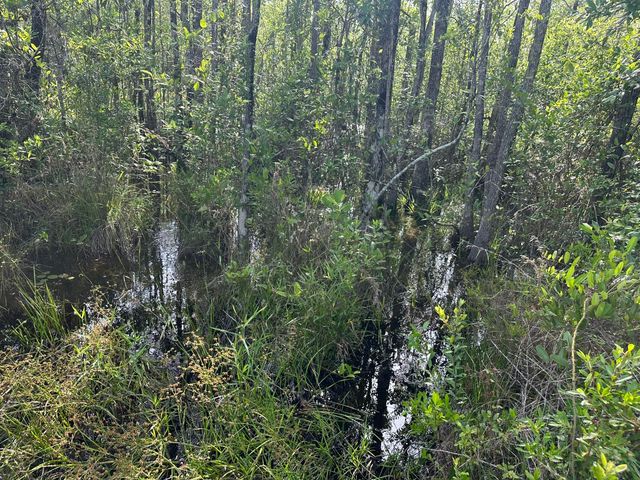Parcel E Old River Road, Baker, FL 32531