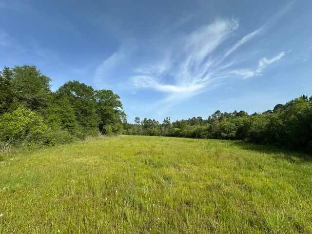Parcel E Old River Road, Baker, FL 32531