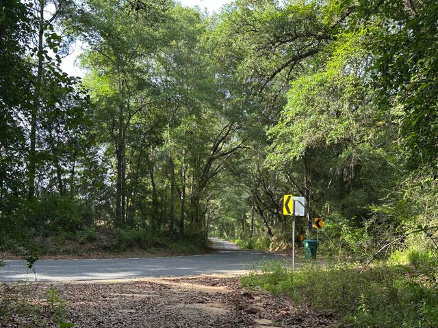 Parcel E Old River Road, Baker, FL 32531