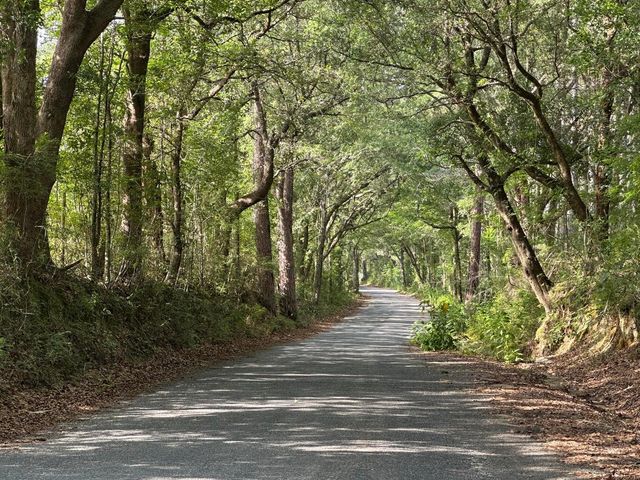 Parcel E Old River Road, Baker, FL 32531