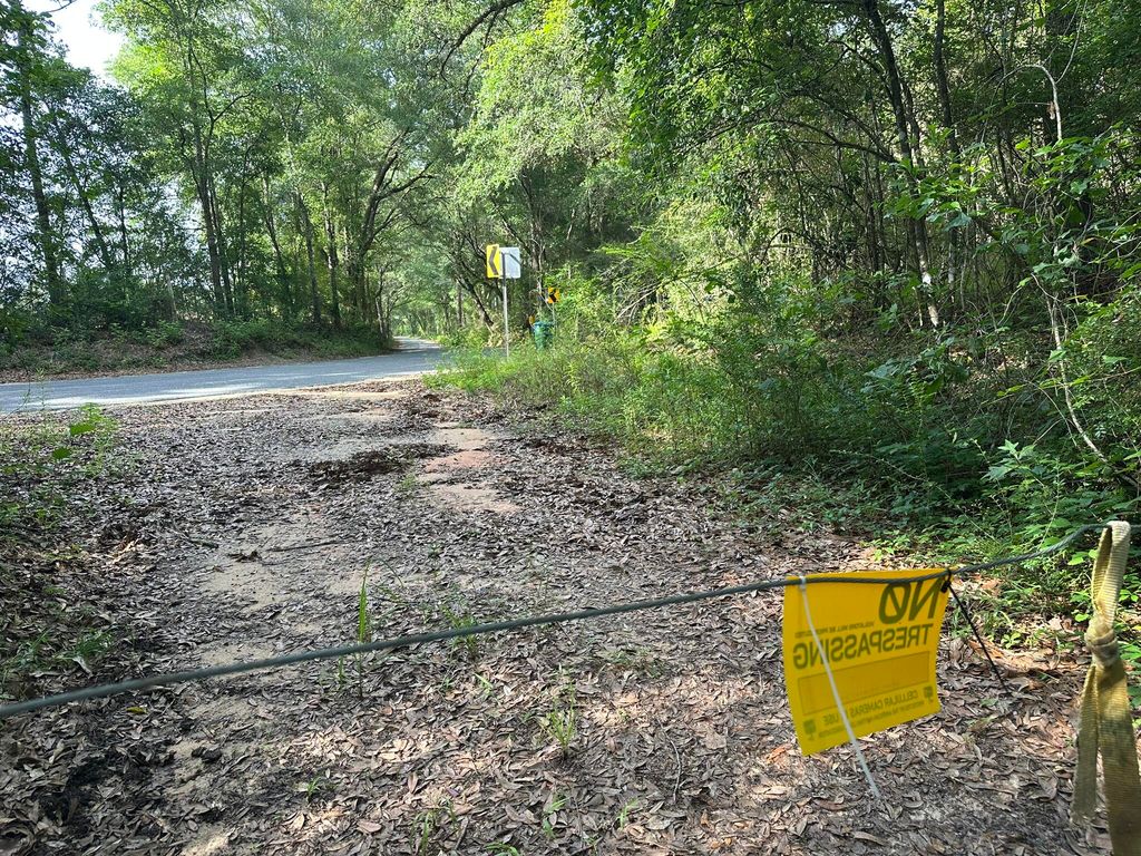Parcel E Old River Road, Baker, FL 32531