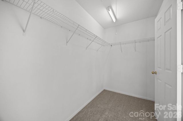 9006 Corey Common Avenue, Charlotte, NC 28216