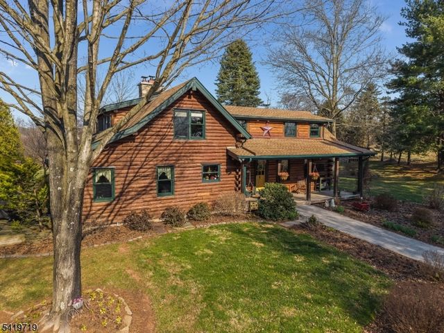 299 Spring Mills-Lt Yk Rd, Holland Twp., NJ 08848