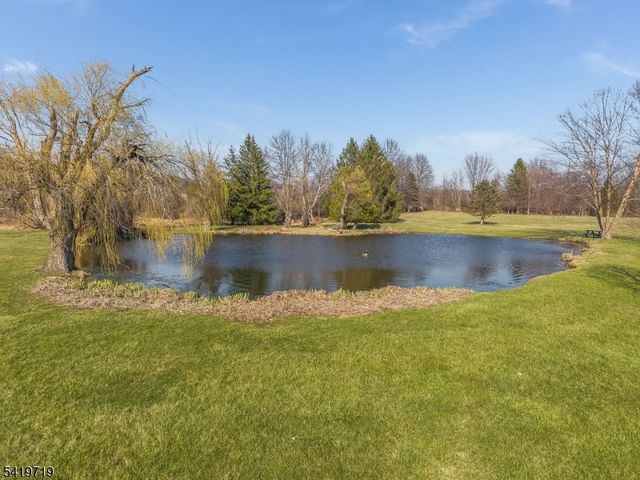 299 Spring Mills-Lt Yk Rd, Holland Twp., NJ 08848