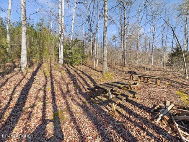 7111 Diamond Branch Rd, Maryville, TN 37801