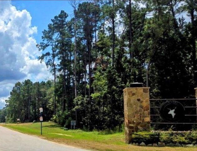 126 Exploration Road, New Waverly, TX 77358
