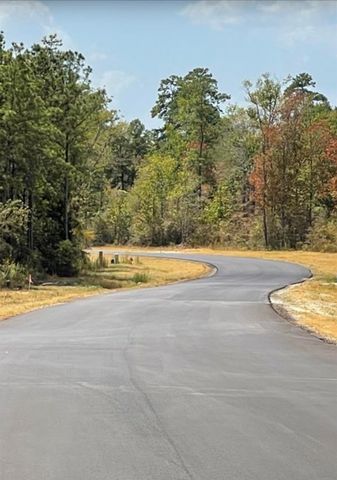 126 Exploration Road, New Waverly, TX 77358