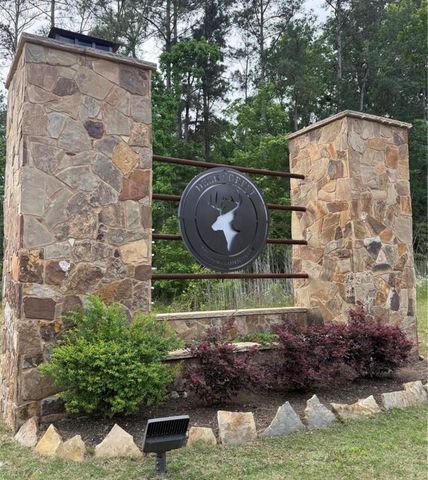 126 Exploration Road, New Waverly, TX 77358