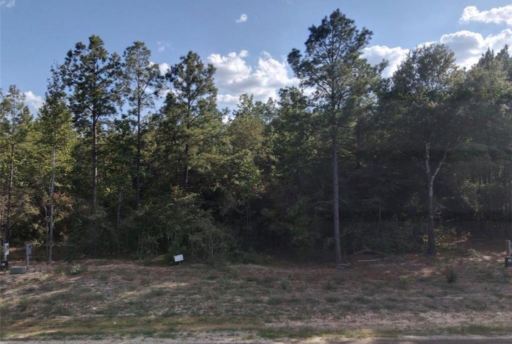 126 Exploration Road, New Waverly, TX 77358