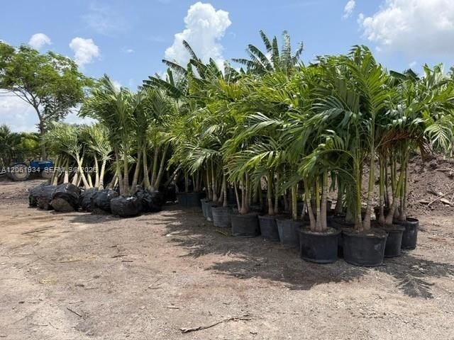 17100 SW 197th Ave, Miami, FL 33187