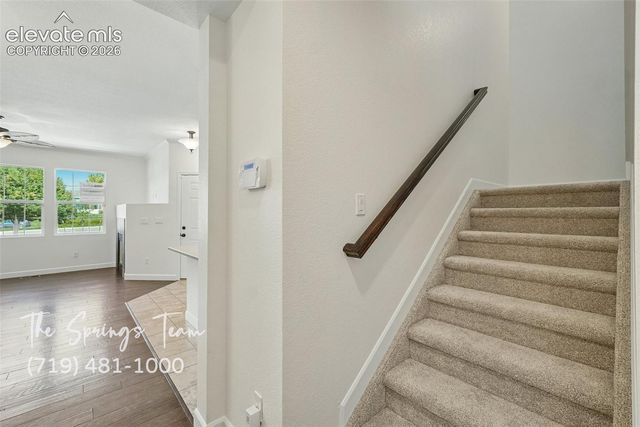 5454 Jordy Russ Grove, Colorado Springs, CO 80924