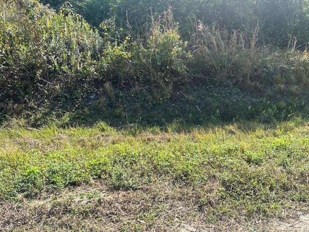 14938 NW 254th Street, Okeechobee, FL 34972