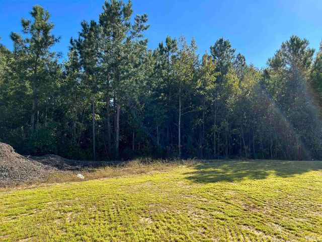 179 Maple Tree Lane, Clayton, NC 27527