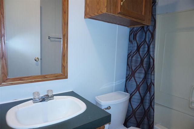 20222 Redbud Drive, New Caney, TX 77357