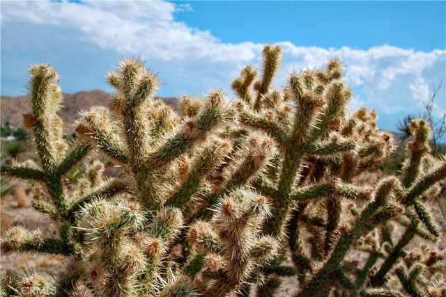 1 Polaris, Morongo Valley, CA 92256